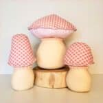 Projeto Digital PDF: Molde Cogumelos Nuovi