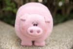 PDF Sewing Pattern: Little Pig